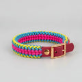 Collare Cane Paracord e BioThane | Regolabile e Fatto a Mano